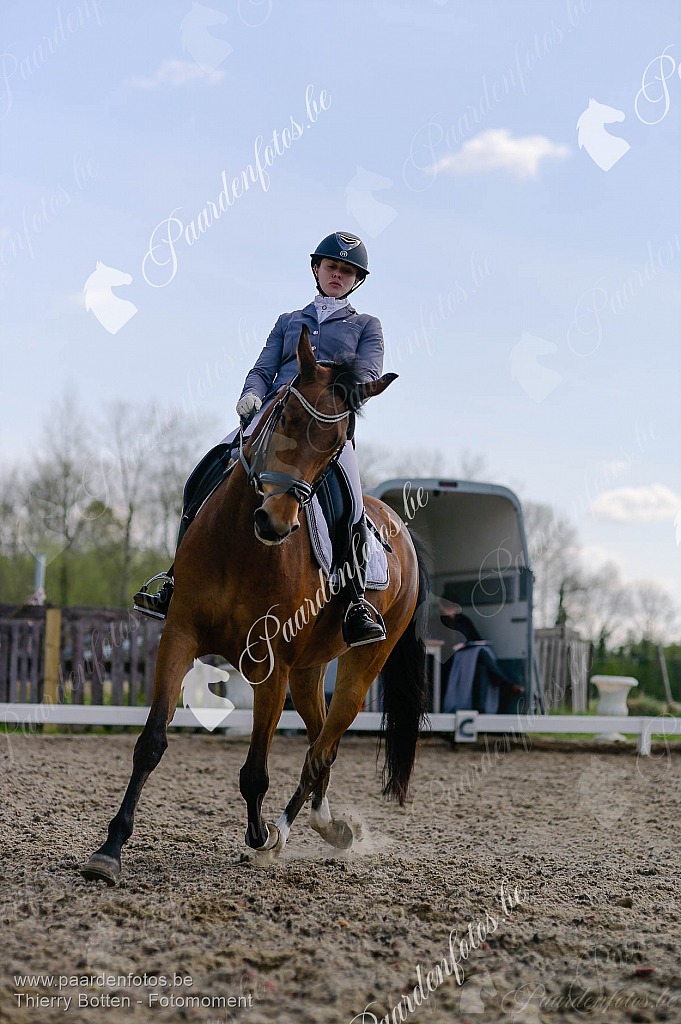 Photographe Fotograaf Equestre Paardenfotograaf Paardenfotos