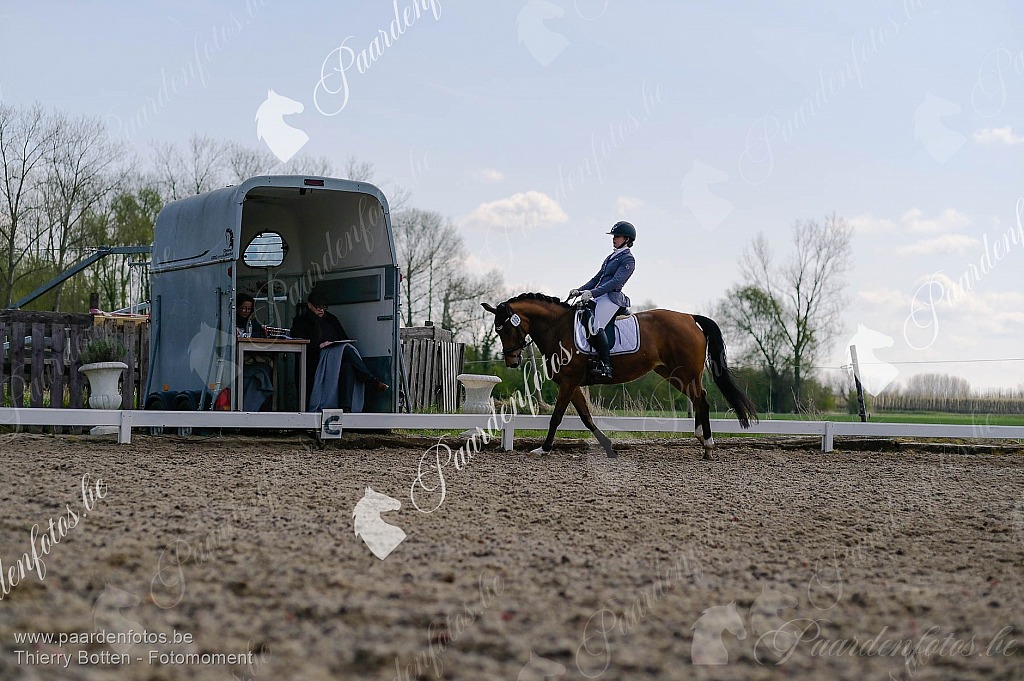 Photographe Fotograaf Equestre Paardenfotograaf Paardenfotos