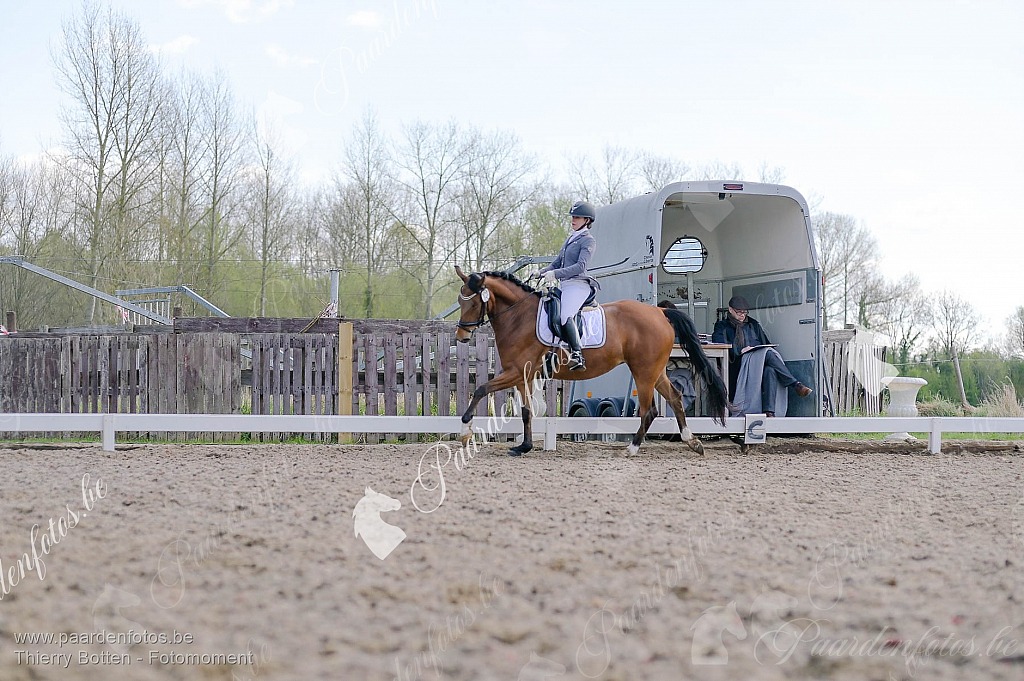 Photographe Fotograaf Equestre Paardenfotograaf Paardenfotos