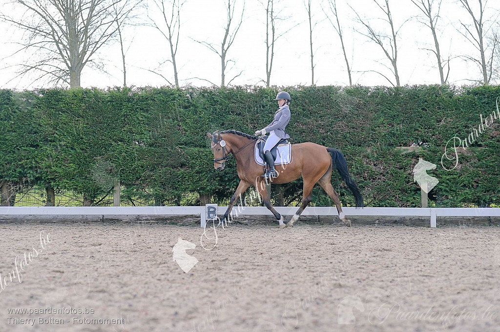 Photographe Fotograaf Equestre Paardenfotograaf Paardenfotos