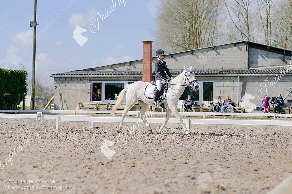 Photographe Fotograaf Equestre Paardenfotograaf Paardenfotos