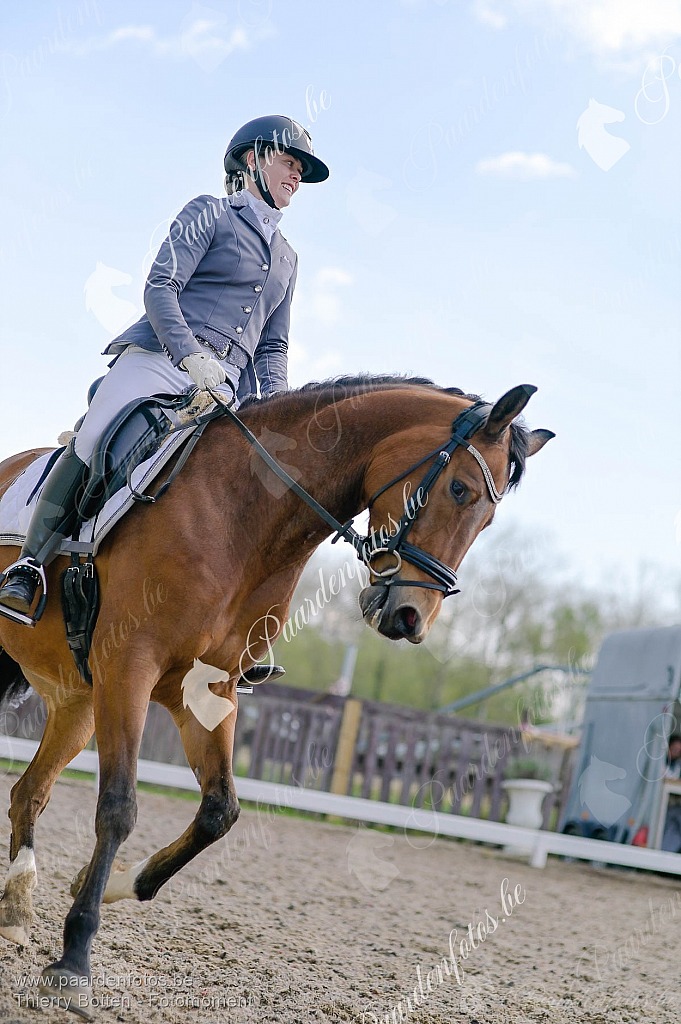 Photographe Fotograaf Equestre Paardenfotograaf Paardenfotos