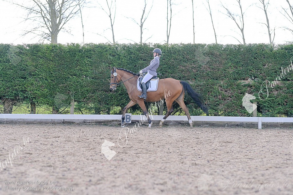 Photographe Fotograaf Equestre Paardenfotograaf Paardenfotos