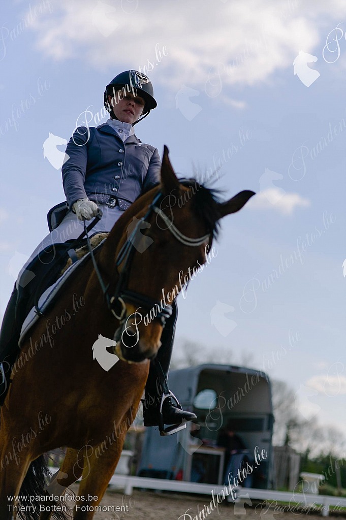 Photographe Fotograaf Equestre Paardenfotograaf Paardenfotos