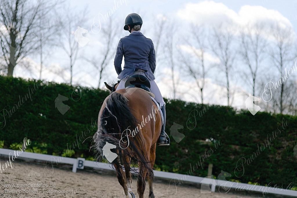 Photographe Fotograaf Equestre Paardenfotograaf Paardenfotos