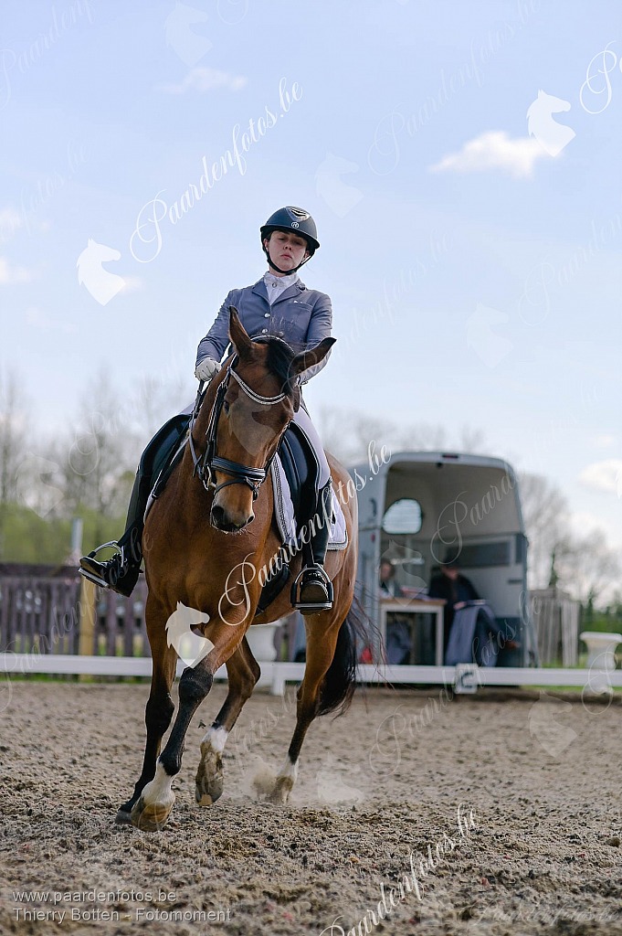 Photographe Fotograaf Equestre Paardenfotograaf Paardenfotos