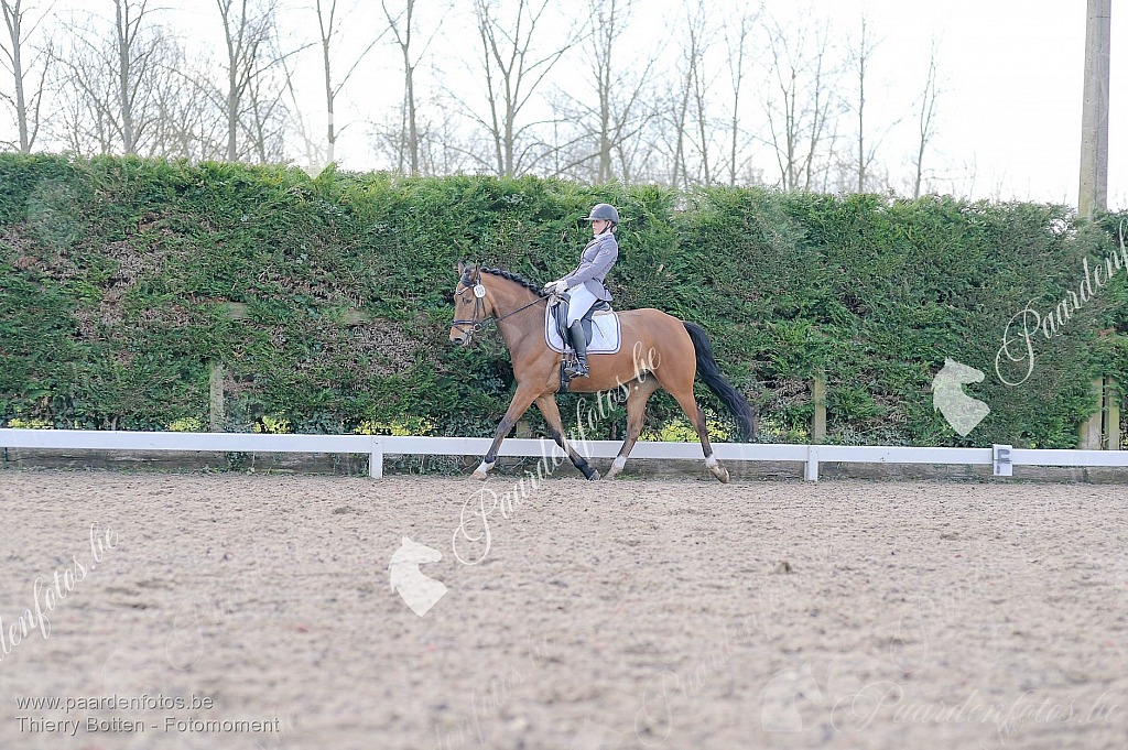 Photographe Fotograaf Equestre Paardenfotograaf Paardenfotos