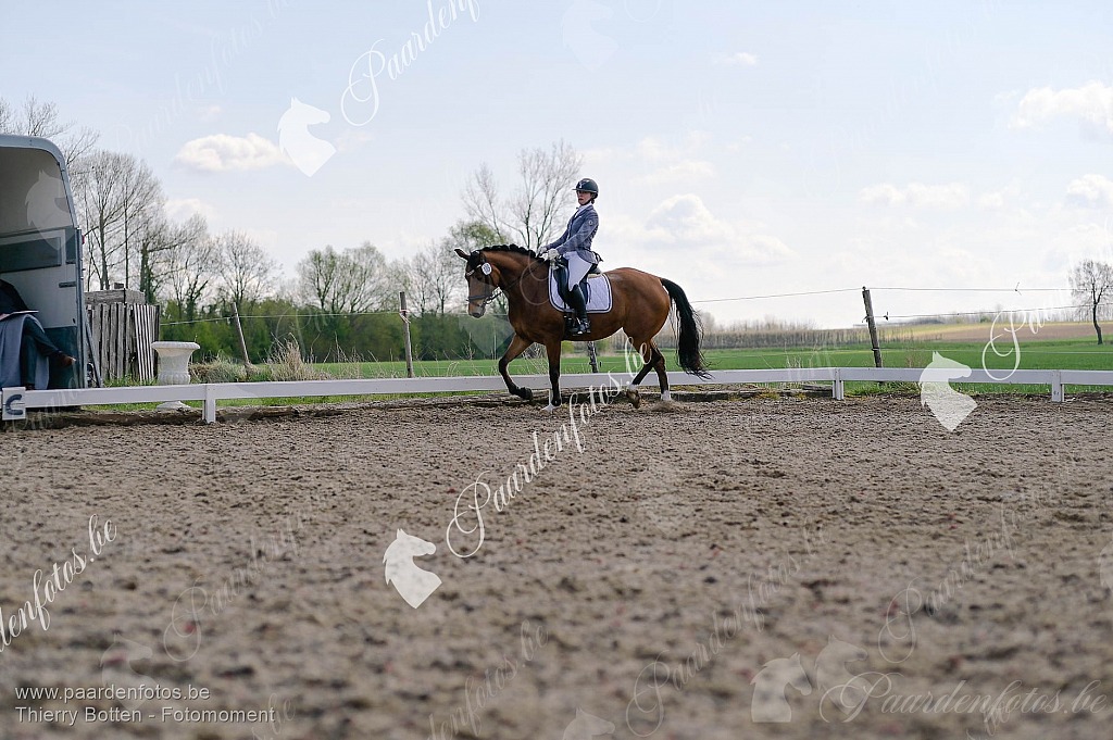 Photographe Fotograaf Equestre Paardenfotograaf Paardenfotos