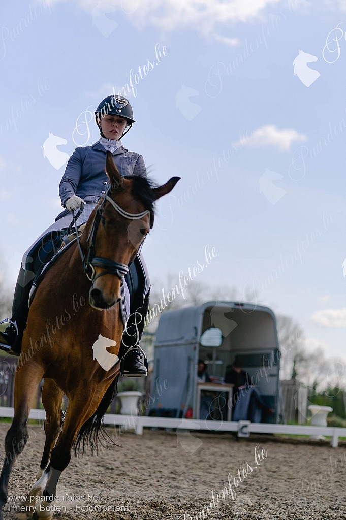 Photographe Fotograaf Equestre Paardenfotograaf Paardenfotos