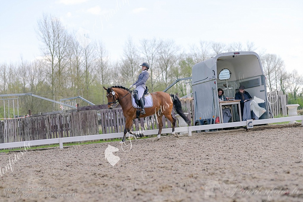 Photographe Fotograaf Equestre Paardenfotograaf Paardenfotos